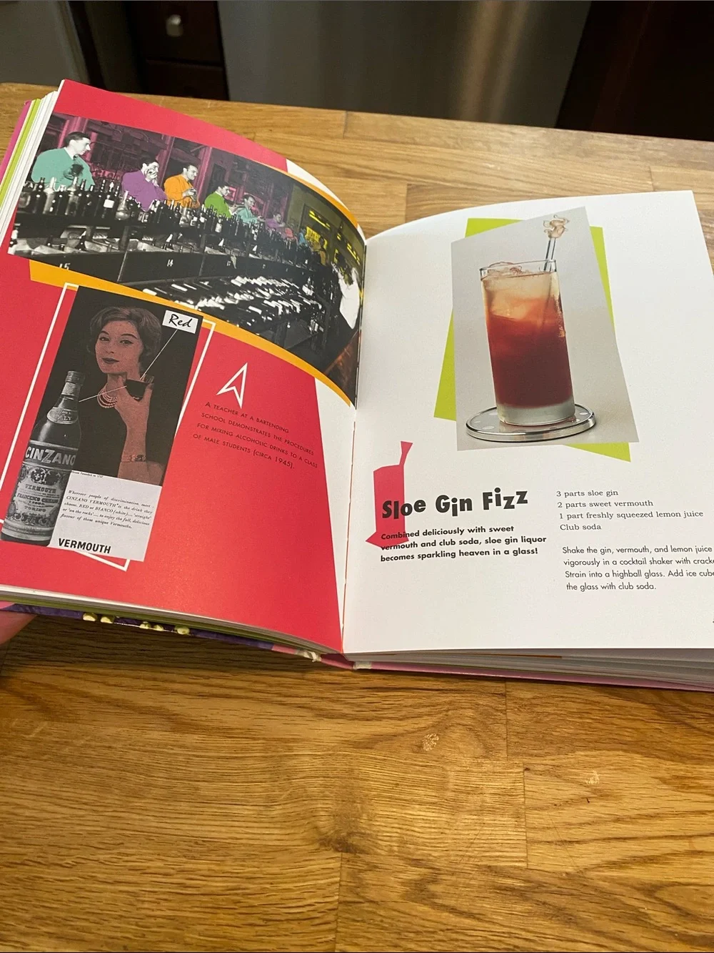Kate Moseley Retro Cocktails Book